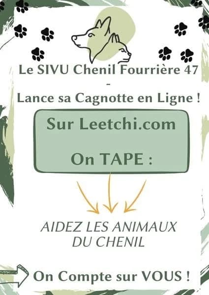 Aidez les animaux du Chenil 47
